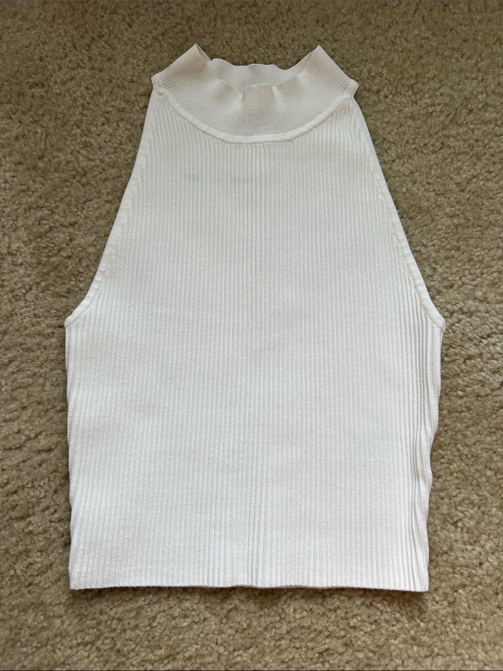 White Ribbed Mock Neck Tank Top Halter Babaton Aritzia